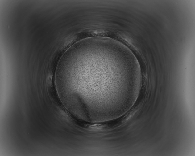 X0000086290269200704131554