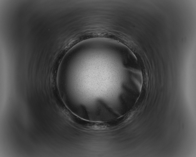 X0000086290270200704131554