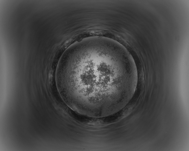 X0000086290271200704131554
