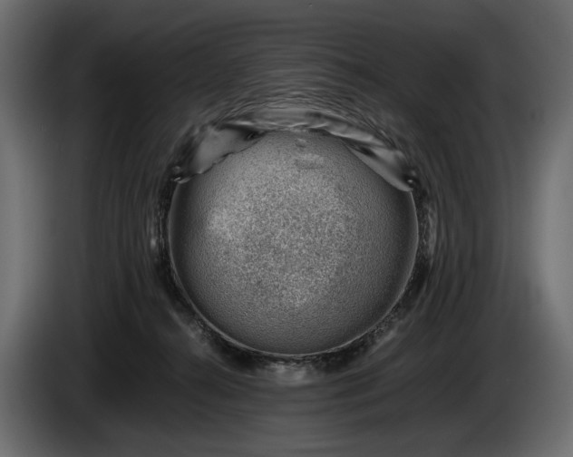X0000086290272200704131554