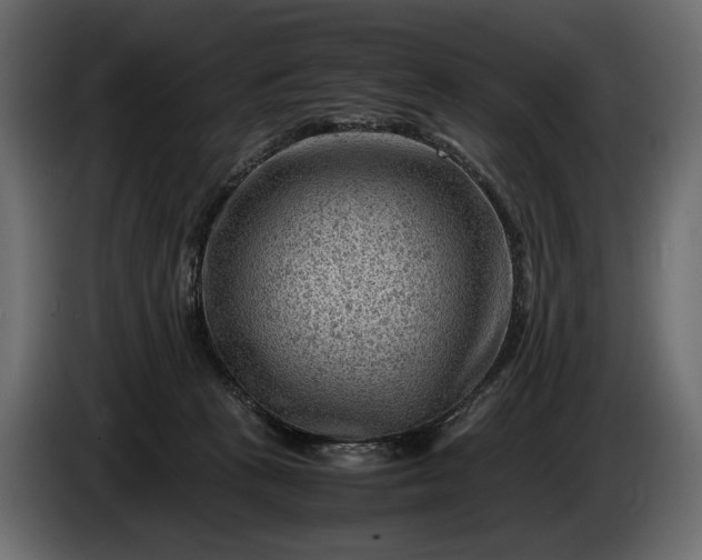 X0000086290273200704131554