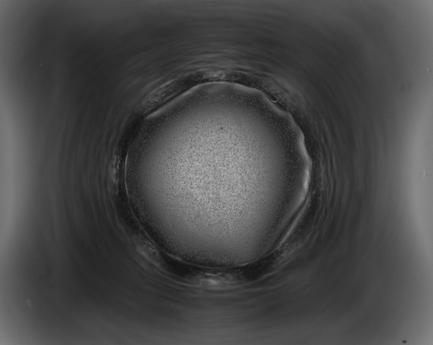 X0000086290275200704131554
