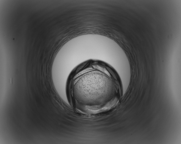 X0000086290276200704131554