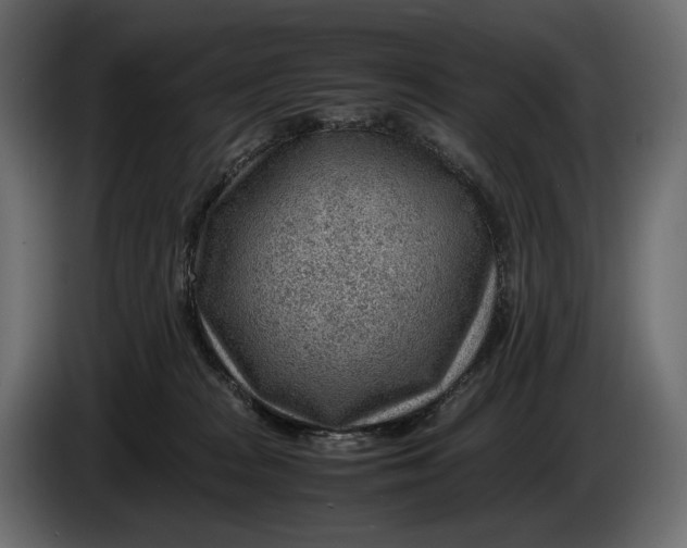 X0000086290277200704131554