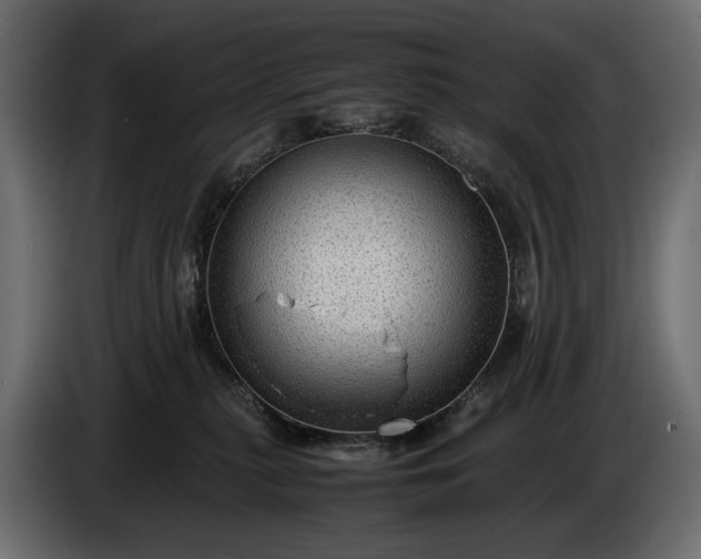 X0000086290279200704131554