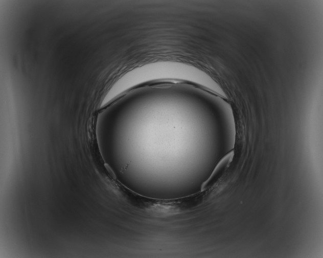 X0000086290280200704131554