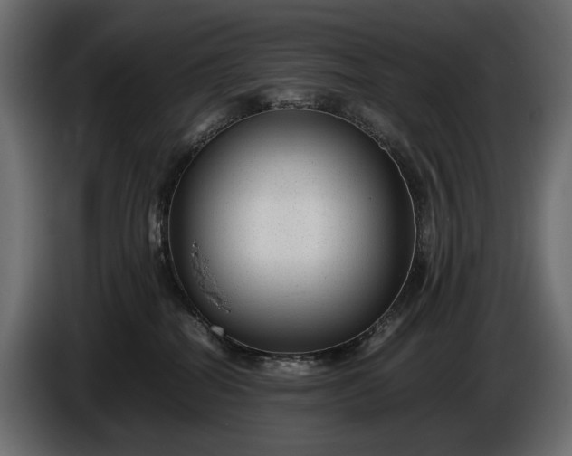 X0000086290282200704131554