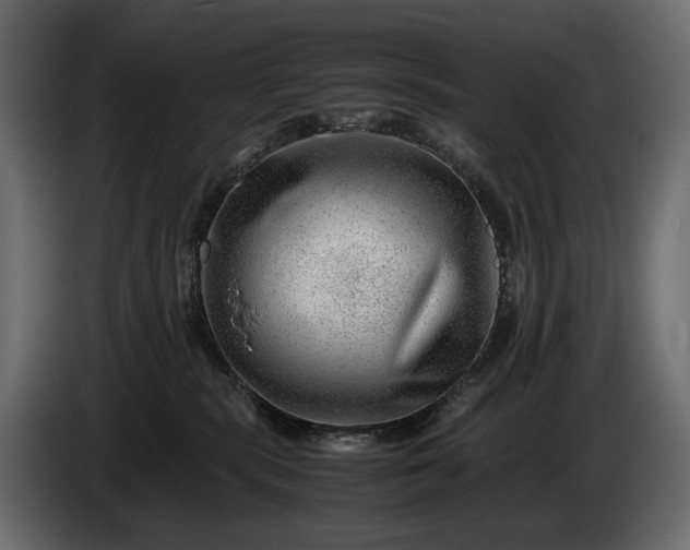 X0000086290283200704131554