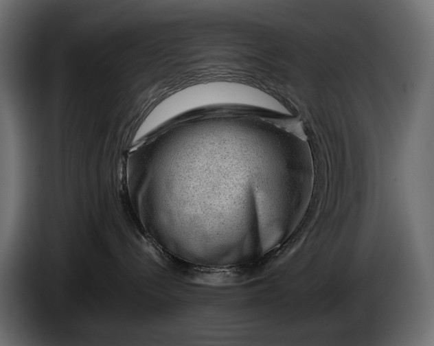 X0000086290288200704131554