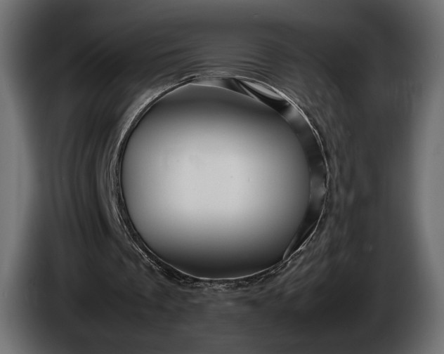 X0000086290289200704131554