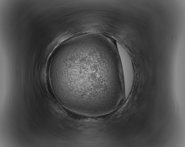 X0000086290290200704131554