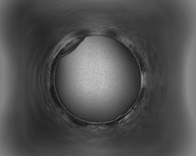 X0000086290291200704131554