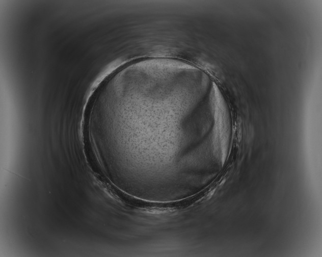 X0000086290292200704131554