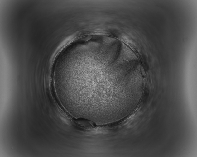 X0000086290293200704131554