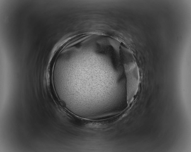 X0000086290294200704131554