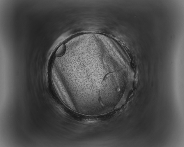 X0000086290296200704131554