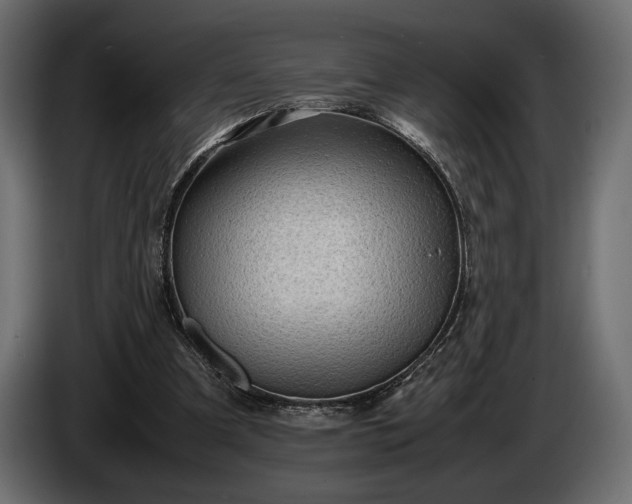 X0000086290297200704131554