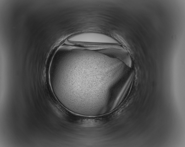 X0000086290298200704131554