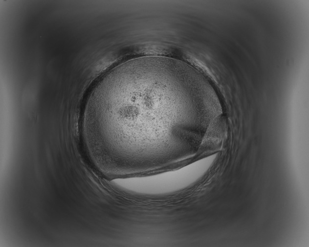 X0000086290299200704131554
