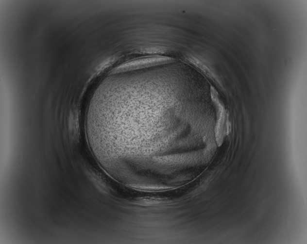 X0000086290300200704131554