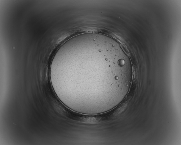 X0000086290301200704131554
