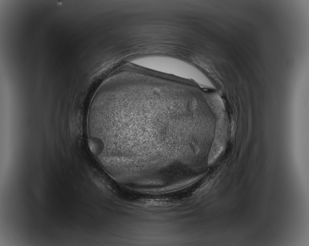 X0000086290303200704131554