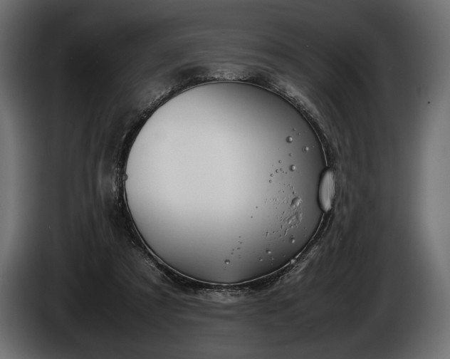 X0000086290305200704131553