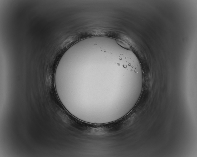X0000086290309200704131553
