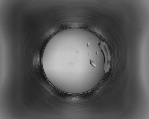 X0000086290310200704131553
