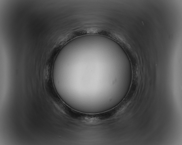 X0000086290311200704131553