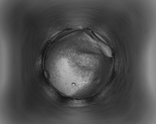 X0000086290314200704131553