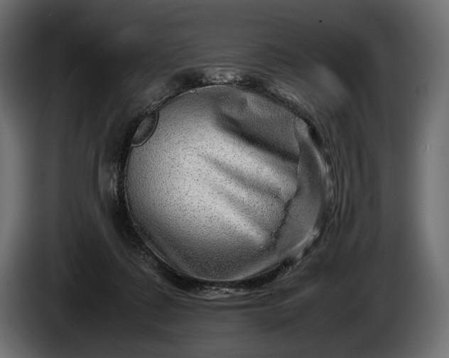 X0000086290315200704131553