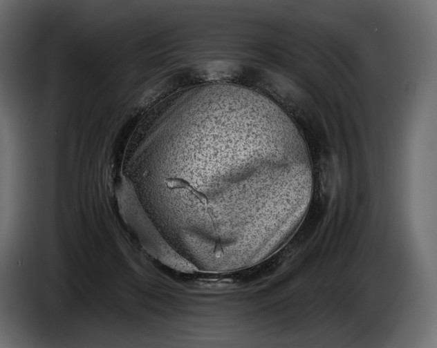 X0000086290316200704131553