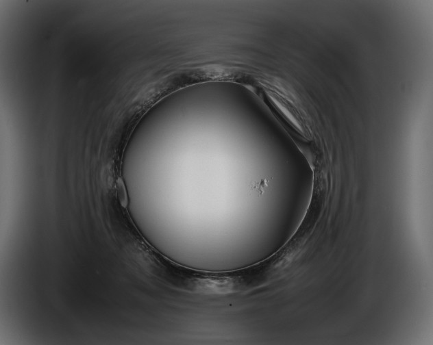 X0000086290317200704131553