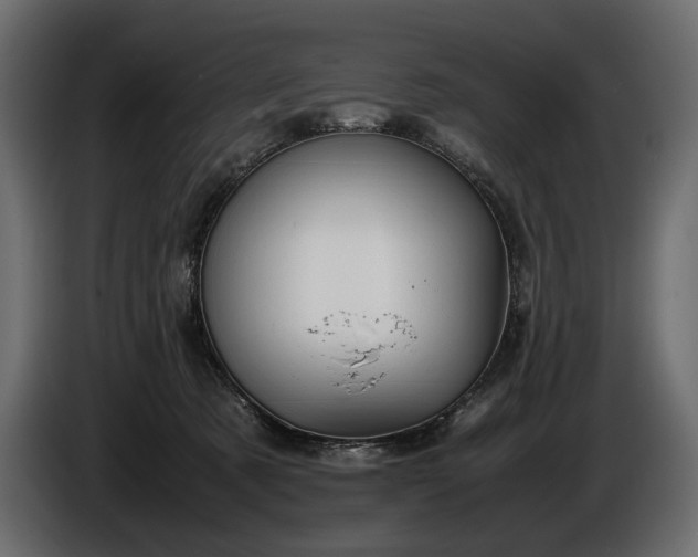 X0000086290321200704131553