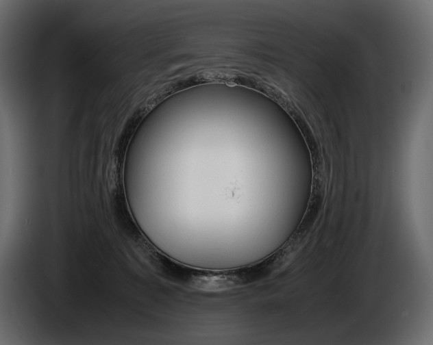 X0000086290323200704131553