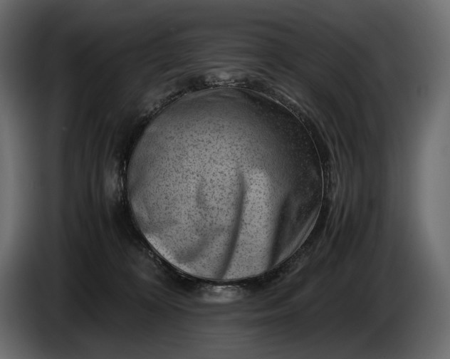 X0000086290324200704131553