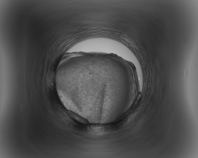X0000086290325200704131553