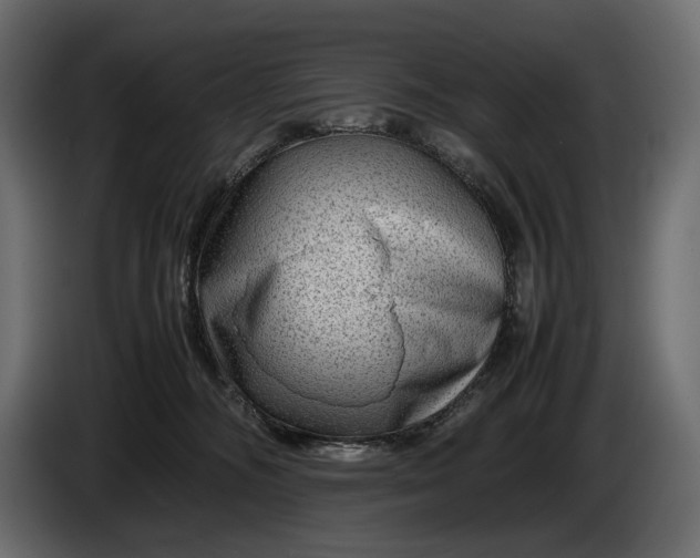 X0000086290326200704131553