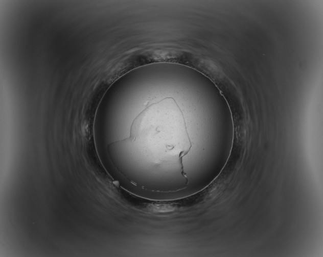 X0000086290327200704131553