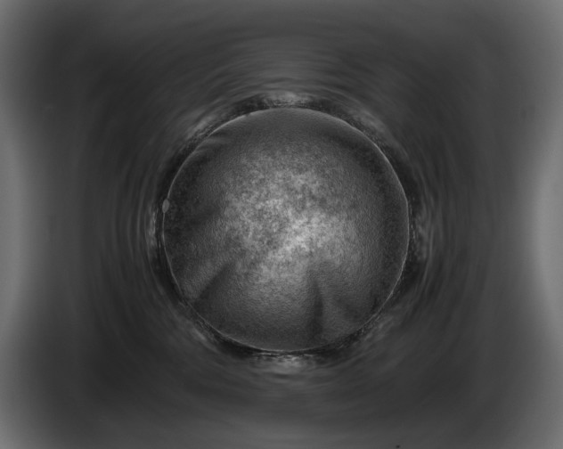 X0000086290330200704131553