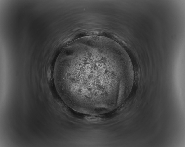 X0000086290331200704131553
