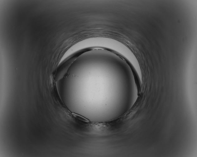 X0000086290333200704131553