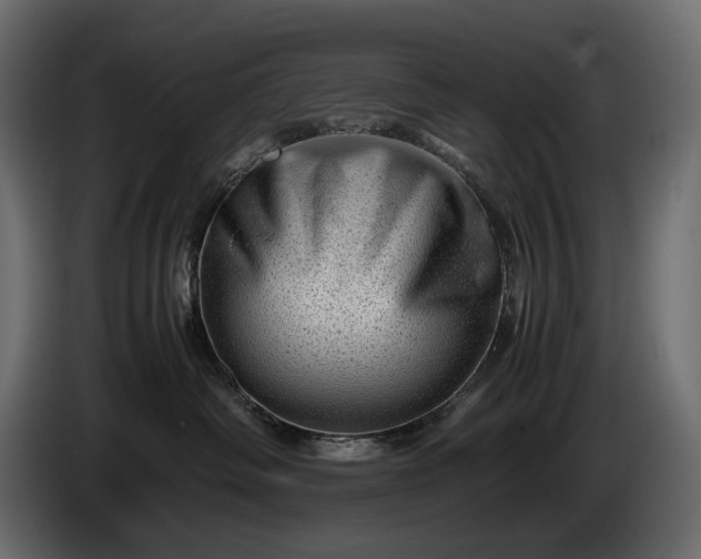 X0000086290334200704131553