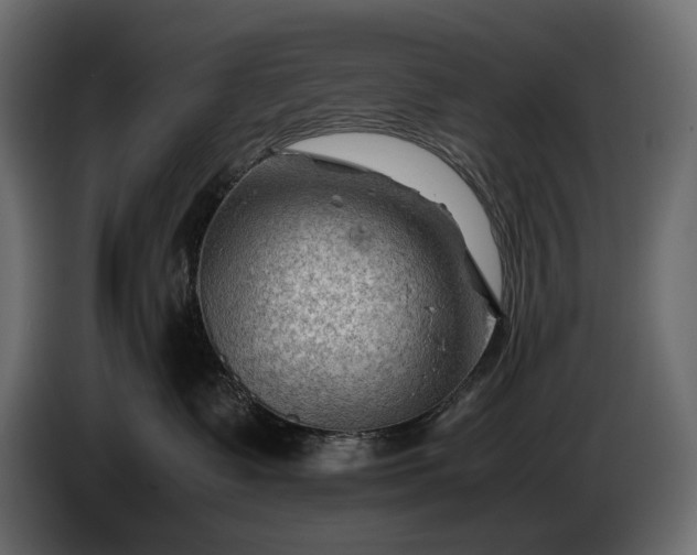 X0000086290335200704131553
