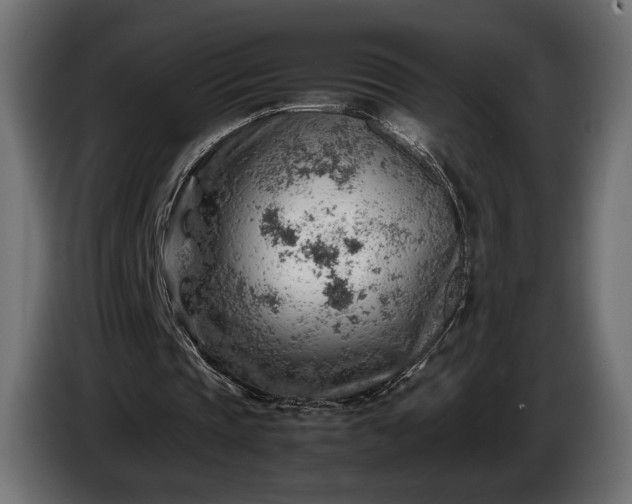 X0000086290337200704131552