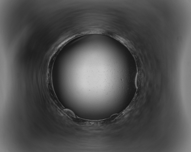 X0000086290338200704131552