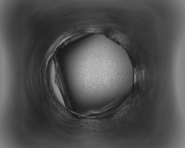 X0000086290339200704131552