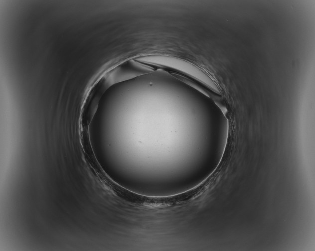 X0000086290340200704131552