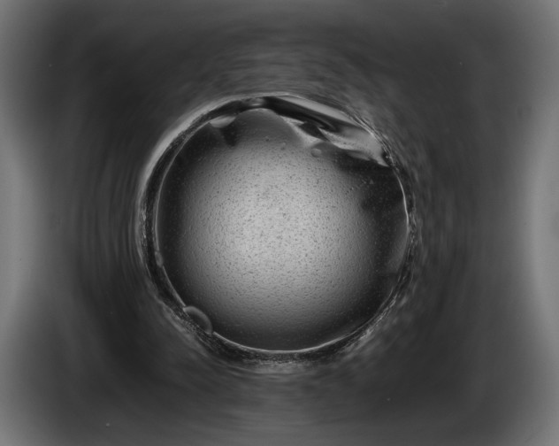 X0000086290342200704131552